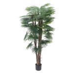 Pianta ornamentale Palma Camerux 170 cm. con vaso