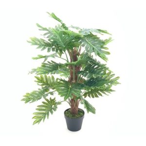 Pianta ornamentale Philo a foglie verdi con vaso 73 cm.