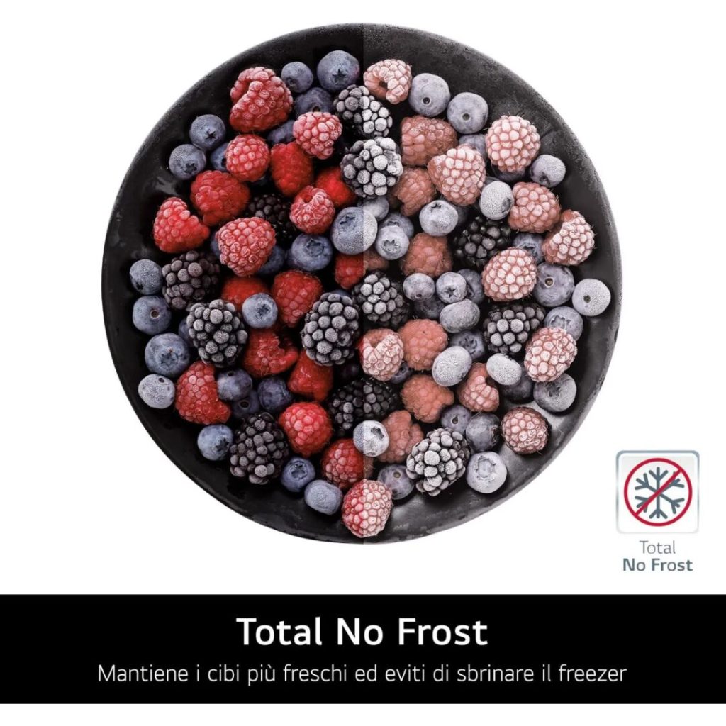 Frigorifero Americano Lg Side by Side 530 Litri No Frost - GMB860PYDE