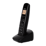 Telefono cordless PANASONIC DECT Display 1.4" Blocco chiamate - TGB610JTB