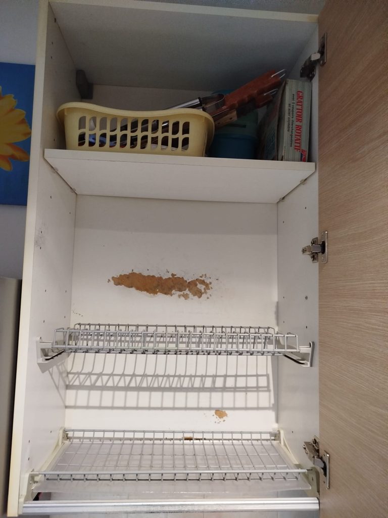 Cucina Con Forno, Piano Cottura, Cappa E Lavello Usata 654