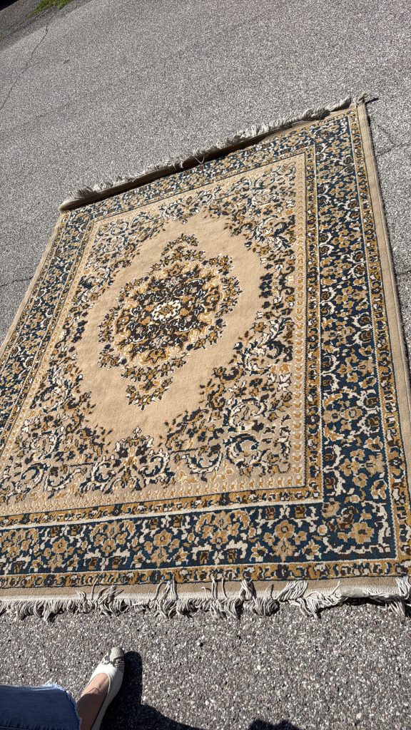 Tappeto Panna Maroncino 170x225 Usato 4132/U