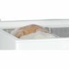 Congelatore a Pozzetto WHIRLPOOL Orizzontale 204 litri Tecnologia 6° SENSO - W 204 FO - immagine 3