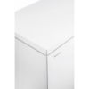Congelatore a Pozzetto Orizzontale HISENSE 142 Litri colore Bianco - FT184D4AWYE - immagine 2
