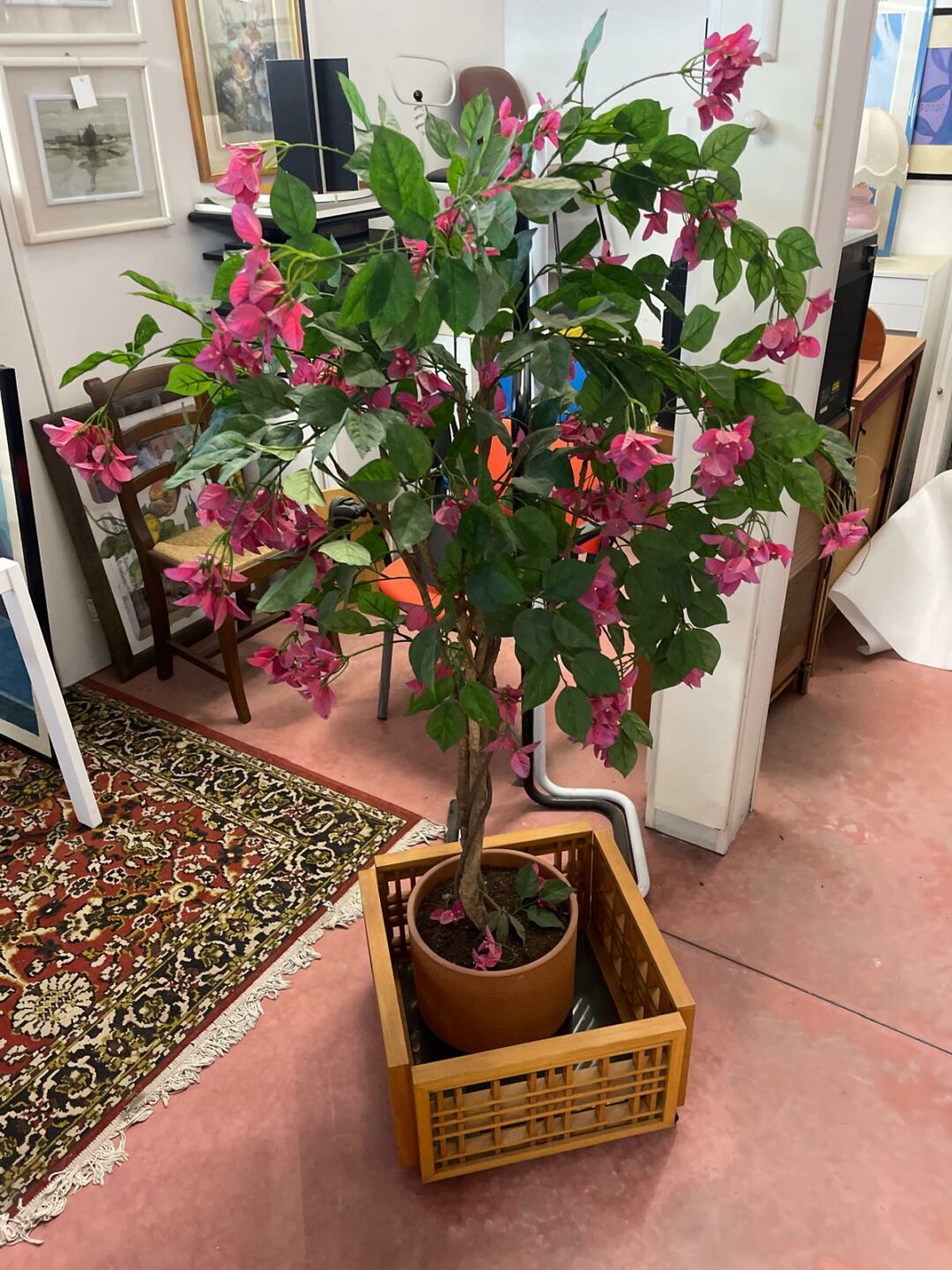 Pianta finta S 2459