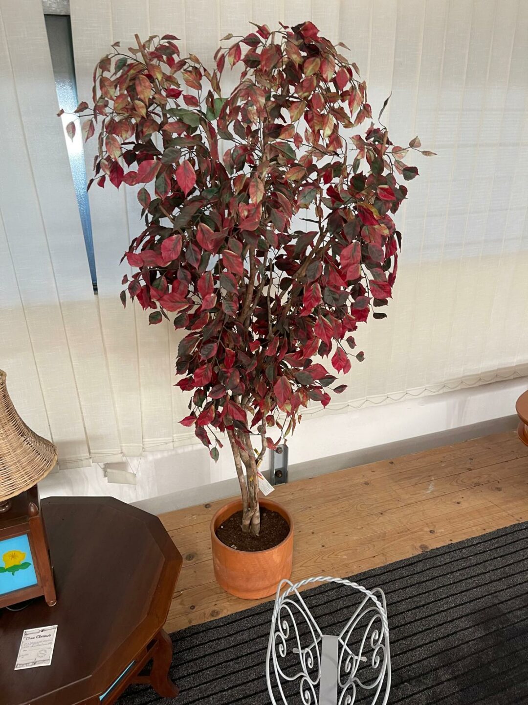 Pianta finta S 2554