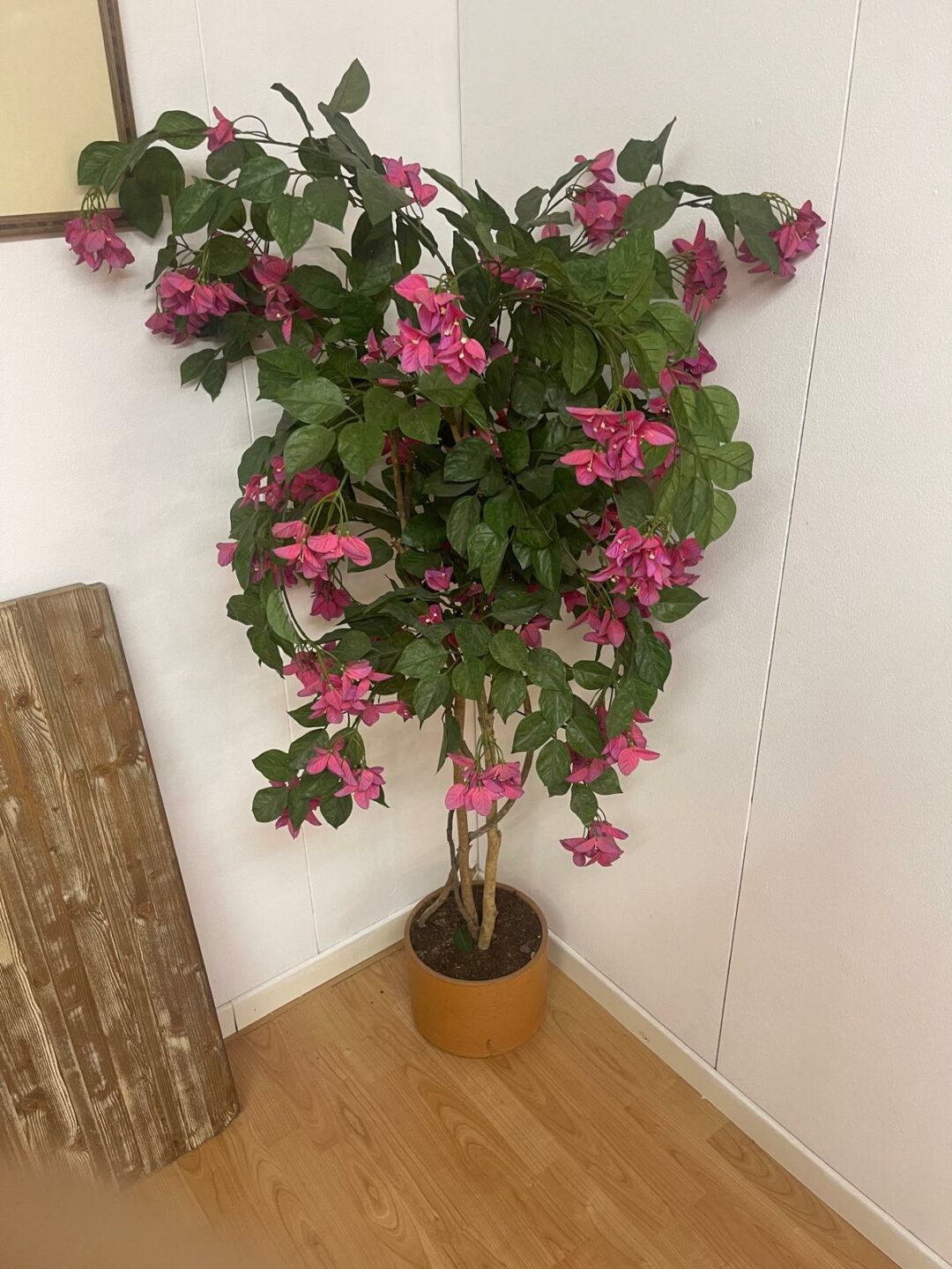 Pianta finta S 2840