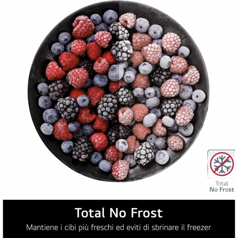 Lg Frigorifero Combinato Capacità 464 Litri No Frost Fresh Converter - GBV7280CEV - immagine 8