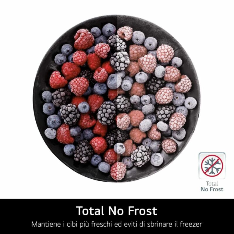 Lg Frigorifero Combinato Capacità 464 Litri No Frost Fresh Converter - GBV7280CEV - immagine 9