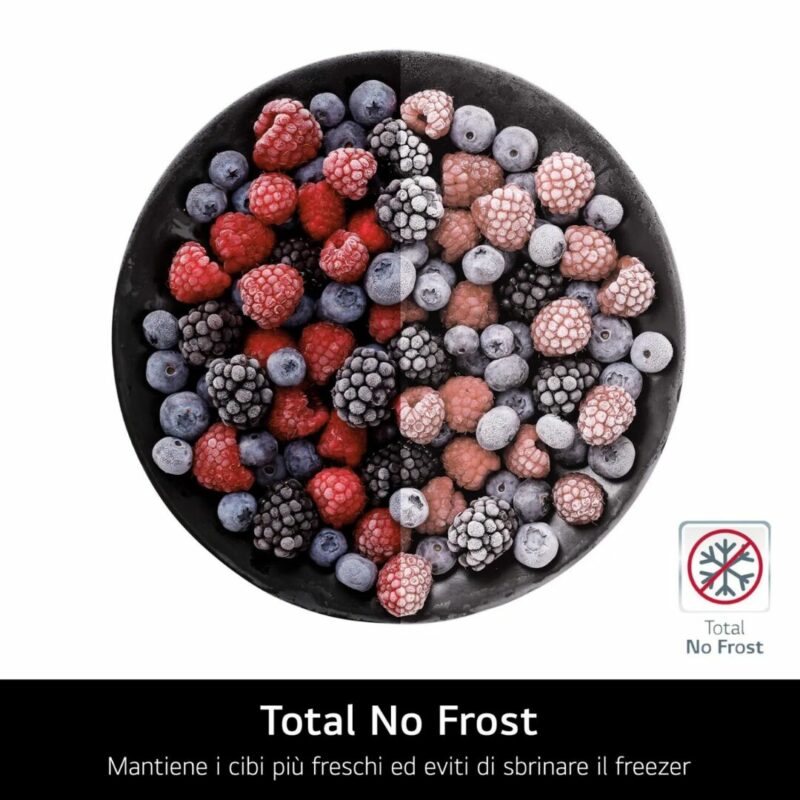 Lg Frigorifero Americano Side by Side Capacità 641 Litri No Frost colore Argento - GSLC41PYPE - immagine 10