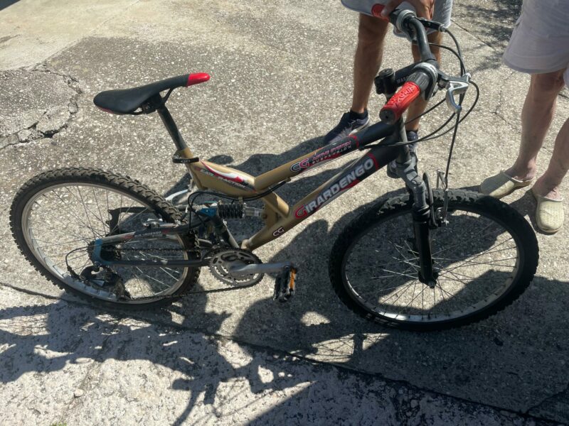 Bicicletta C 112