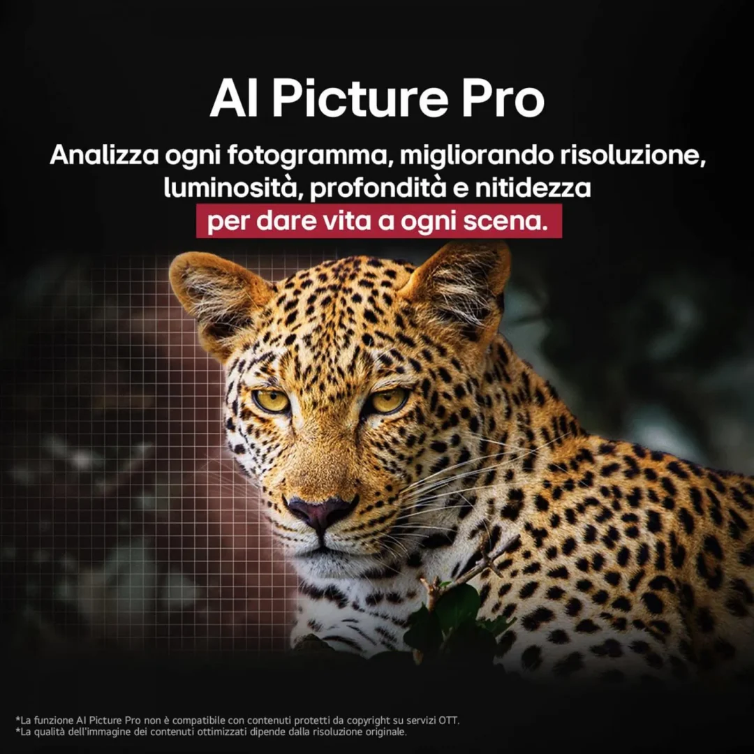 Lg Smart TV 77 Pollici 4K Ultra HD Display OLED evo Sistema WebOS Processore a11 gen2 con AI Classe E colore Argento - OLED77G54LW.API - immagine 10