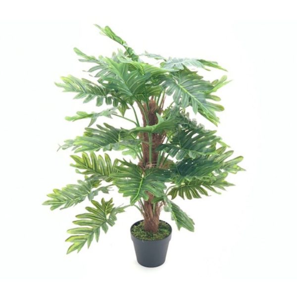 Pianta ornamentale Philo a foglie verdi con vaso 73 cm.