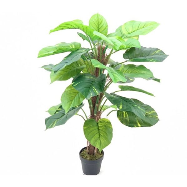 Pianta ornamentale Pothos a foglie verdi con vaso 120 cm.